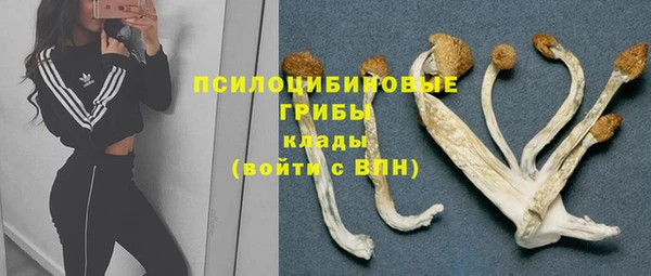 гидра Елабуга