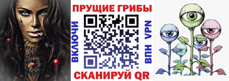 Галлюциногенные грибы Psilocybine cubensis  даркнет сайт  MEGA ссылка  Томари 